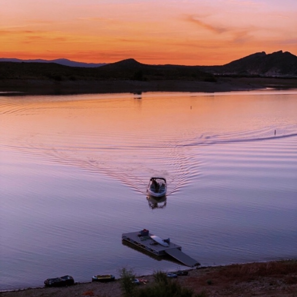 Meet your Posher, Sophia